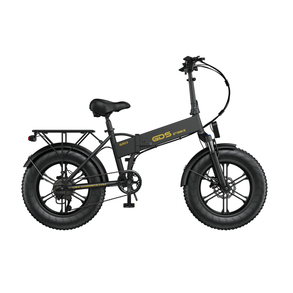 POLARNA M3 20“ Fat Tire Foldable Electric Bike With 750W Motor 48V 13Ah Battery for Snow Sand Outdoor(USA)